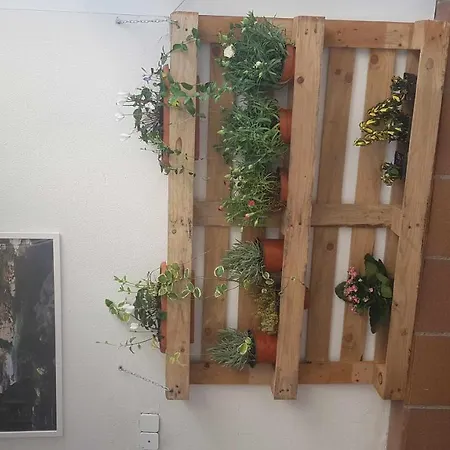 Apartamento Turísticos La Golondrina *